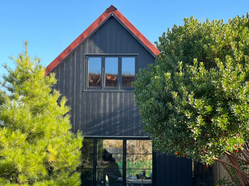 The finished studio: black cladding under a red corrugated roof, with a wide window above glazed doors, between garden shrubs