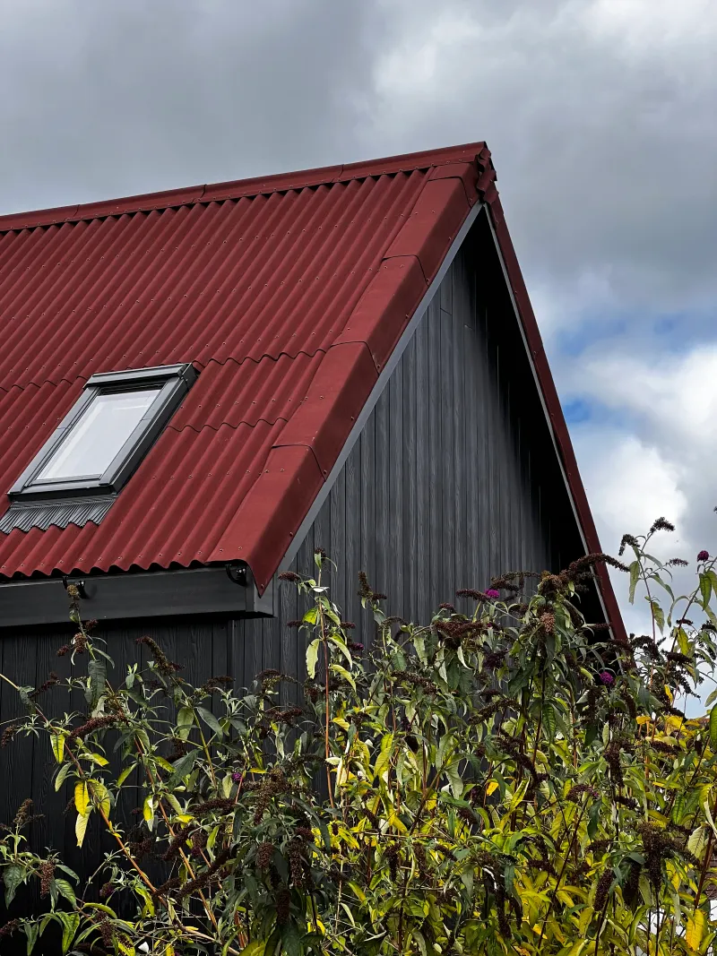 The red corrugated roof with a Velux window, above black cladding and a flowering buddleia