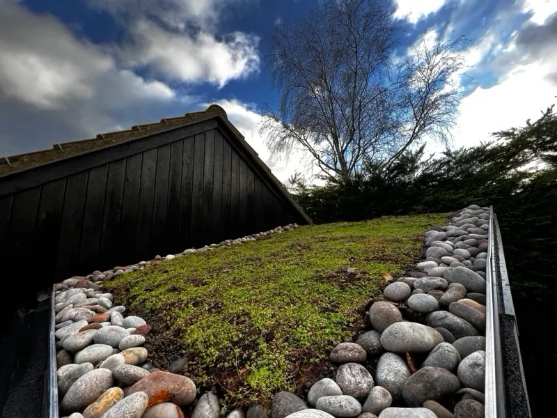 A sedum green roof bordered by smooth pebble channels on a dark timber-clad garden building, under a cloudy sky.