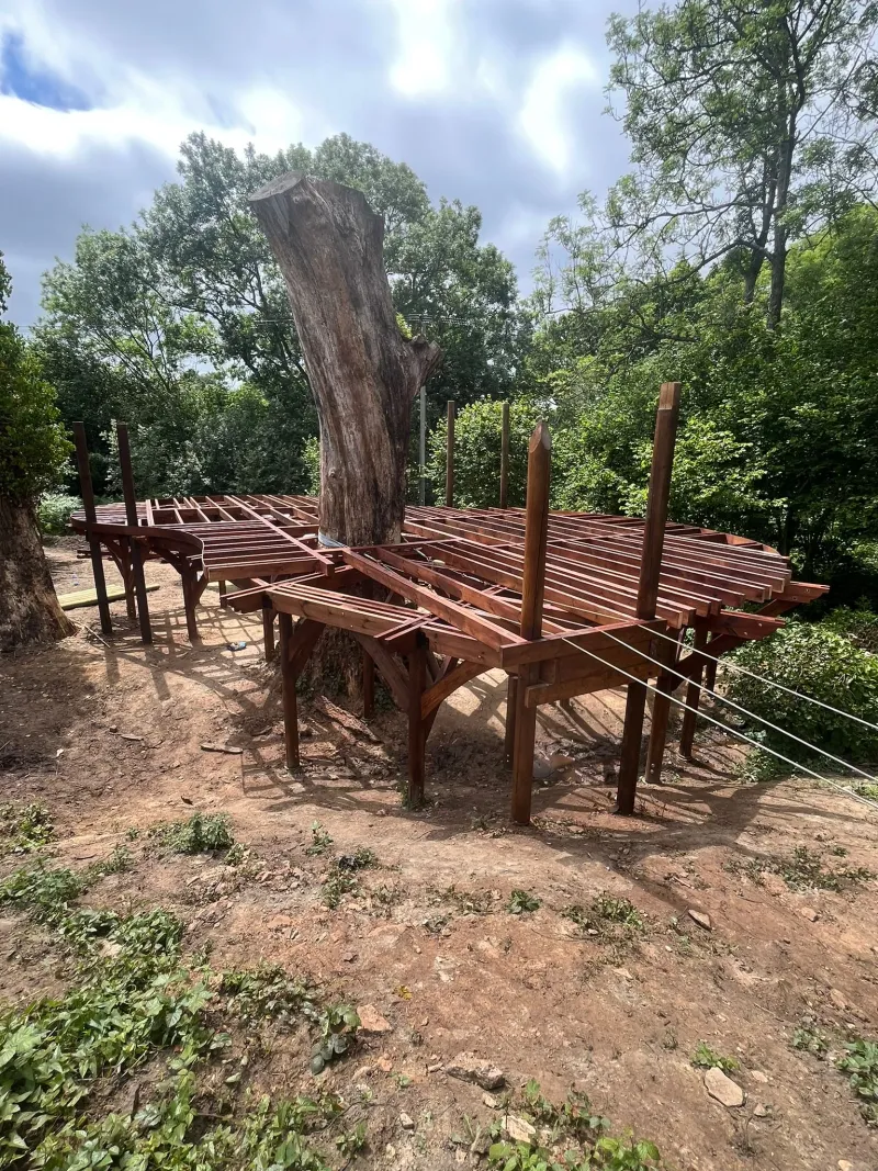 A bespoke timber treehouse under construction, its hardwood frame fanning out on stilts around a mature tree trunk in woodland.