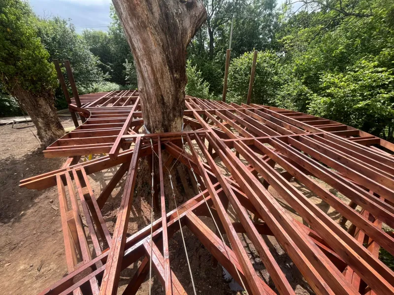 The tree deck during the build: hardwood joists radiating out from the trunk of an old tree.